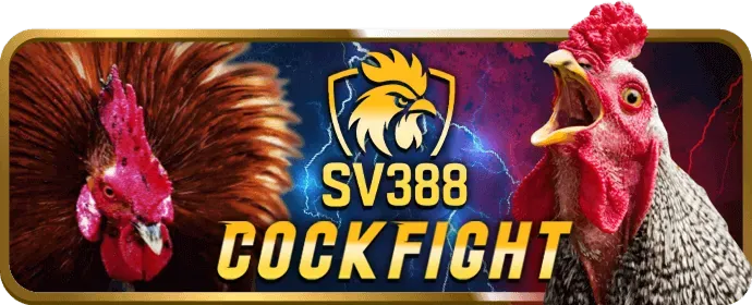 Cá cược tennis chuyên nghiệp tại 68win12 casino